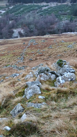 lower dyke